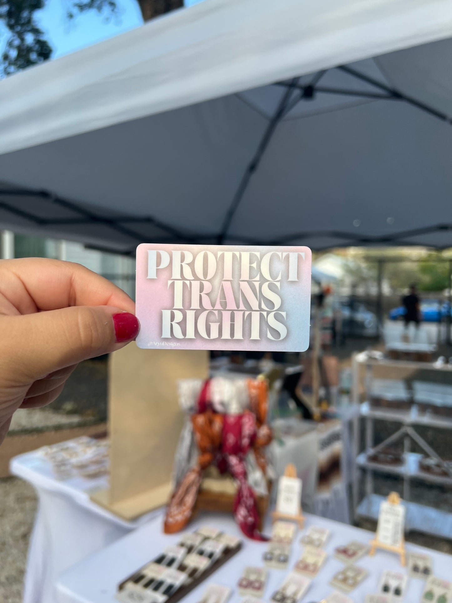 Protect Trans Rights Sticker