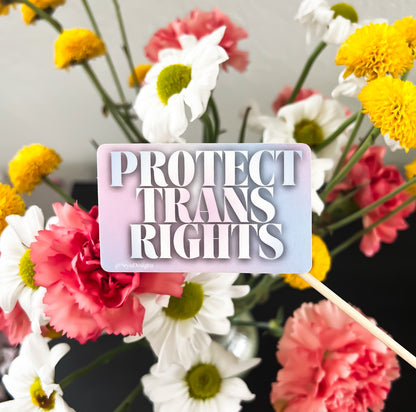 GIVE BACK: Protect Trans Rights Sticker